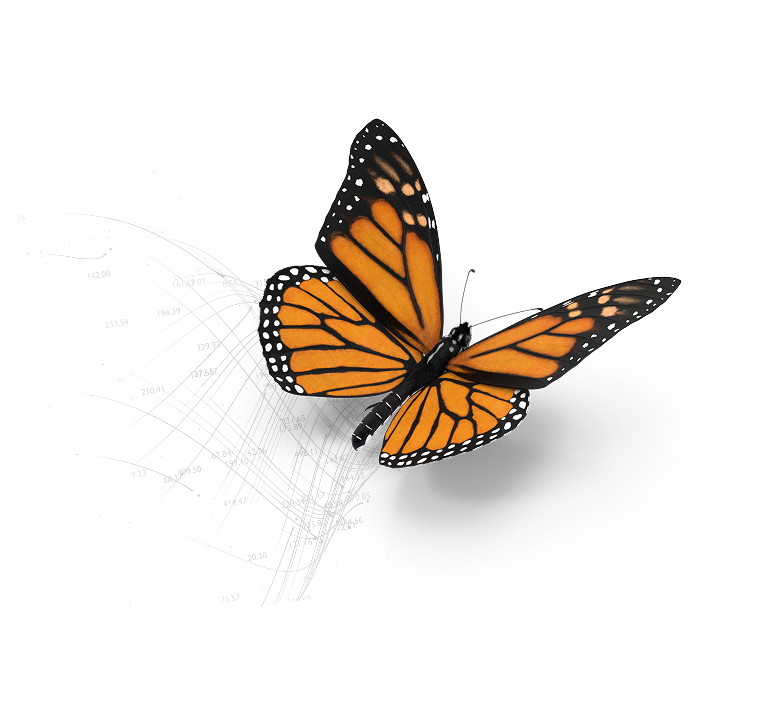 Butterfly2